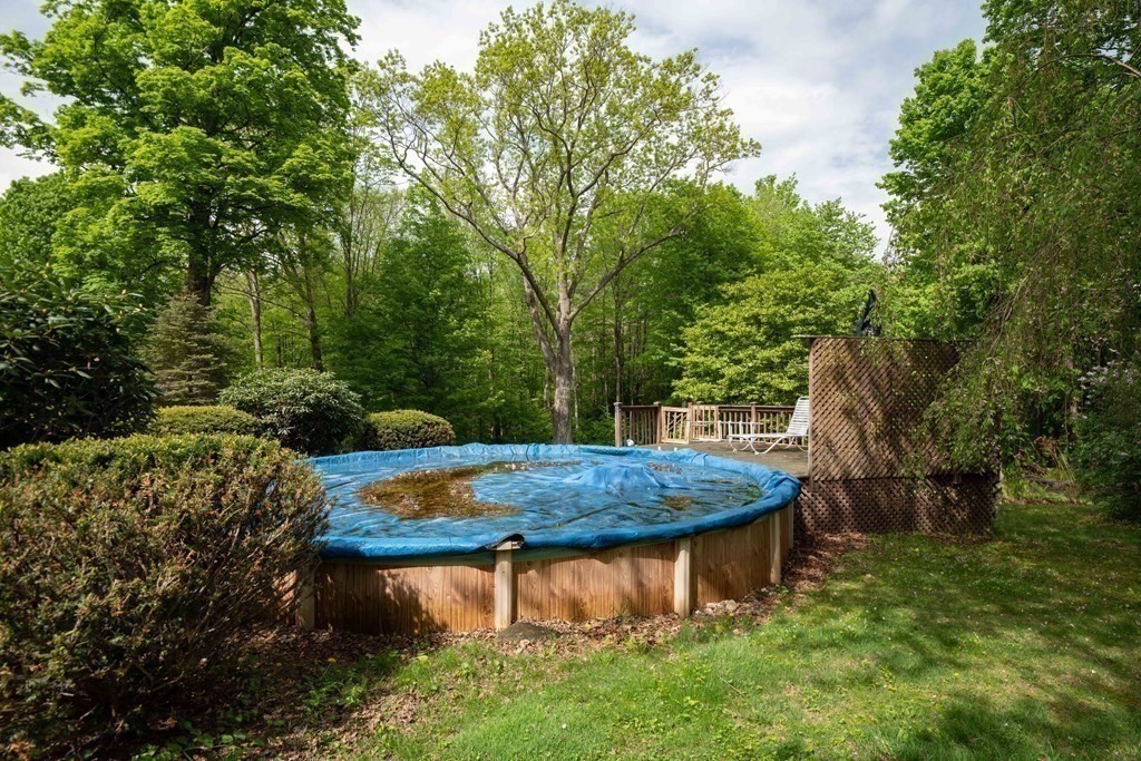 547 Audubon Road Northampton, MA 01053 - Photo 8 of 32 a view of a backyard with plants and trees