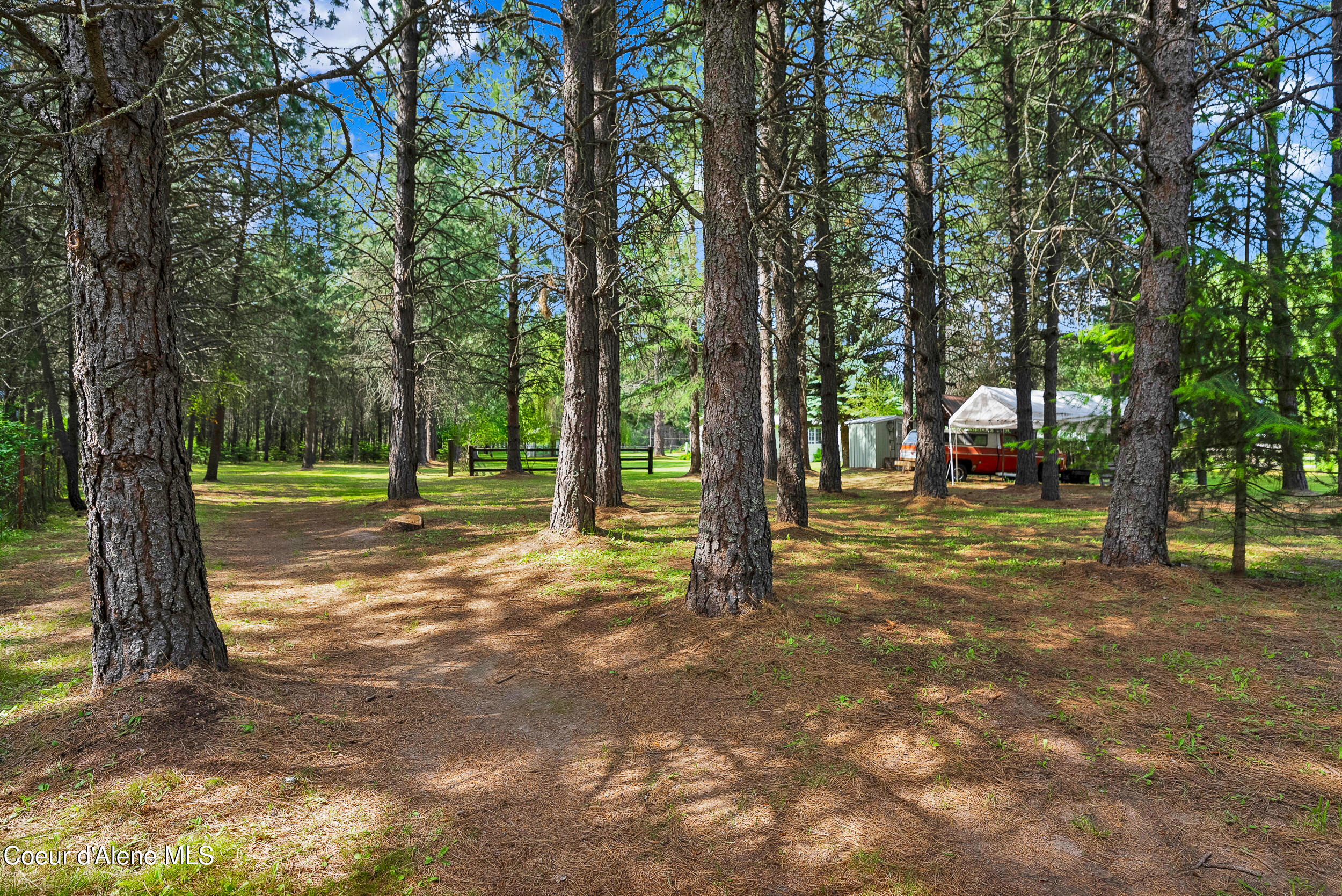 443 Herrmann Lake Road Sagle, ID 83860 - Photo 31 of 47 43- Herrmann Lake woods2