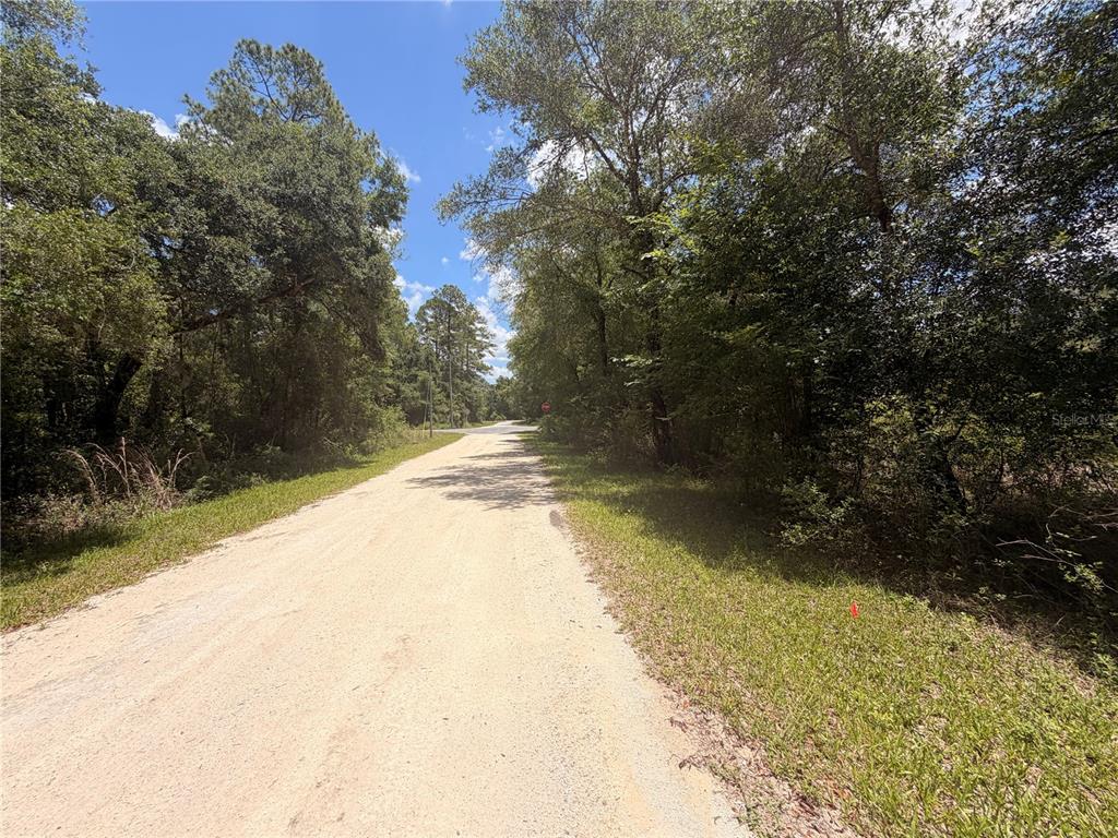 3 Chipstone Street Webster, FL 33597 - Photo 1 of 6