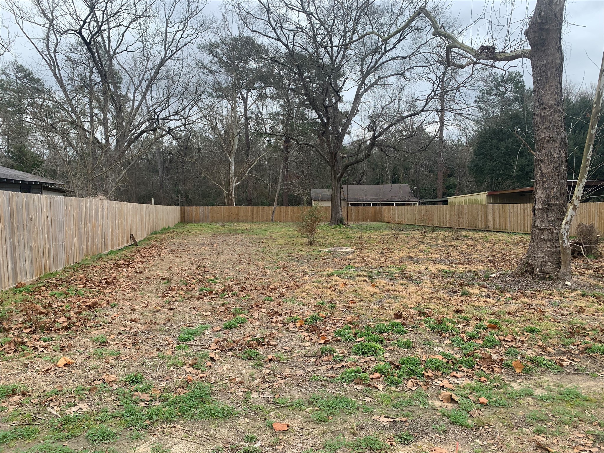 16871 Main Street Splendora, TX 77372 - Photo 2 of 4 a backyard of a house with trees