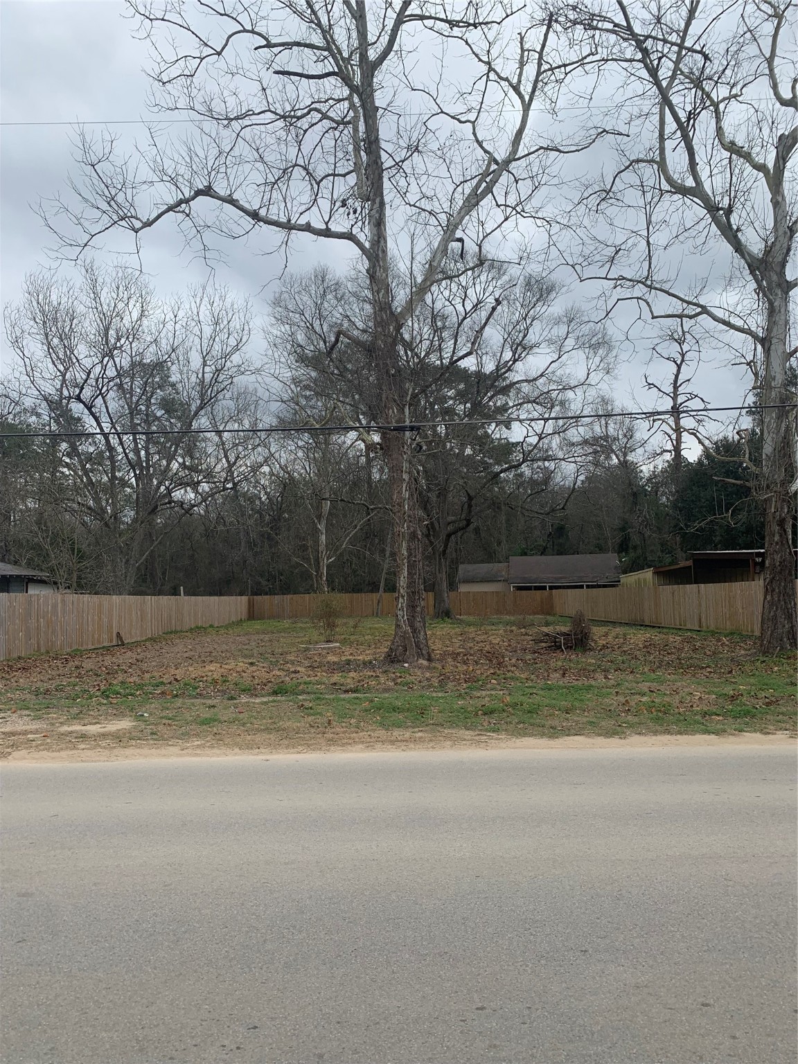 16871 Main Street Splendora, TX 77372 - Photo 4 of 4 a view of a yard
