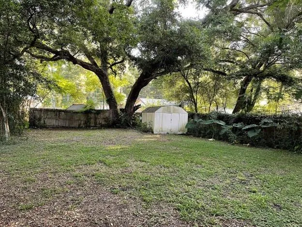 a view of backyard with green space