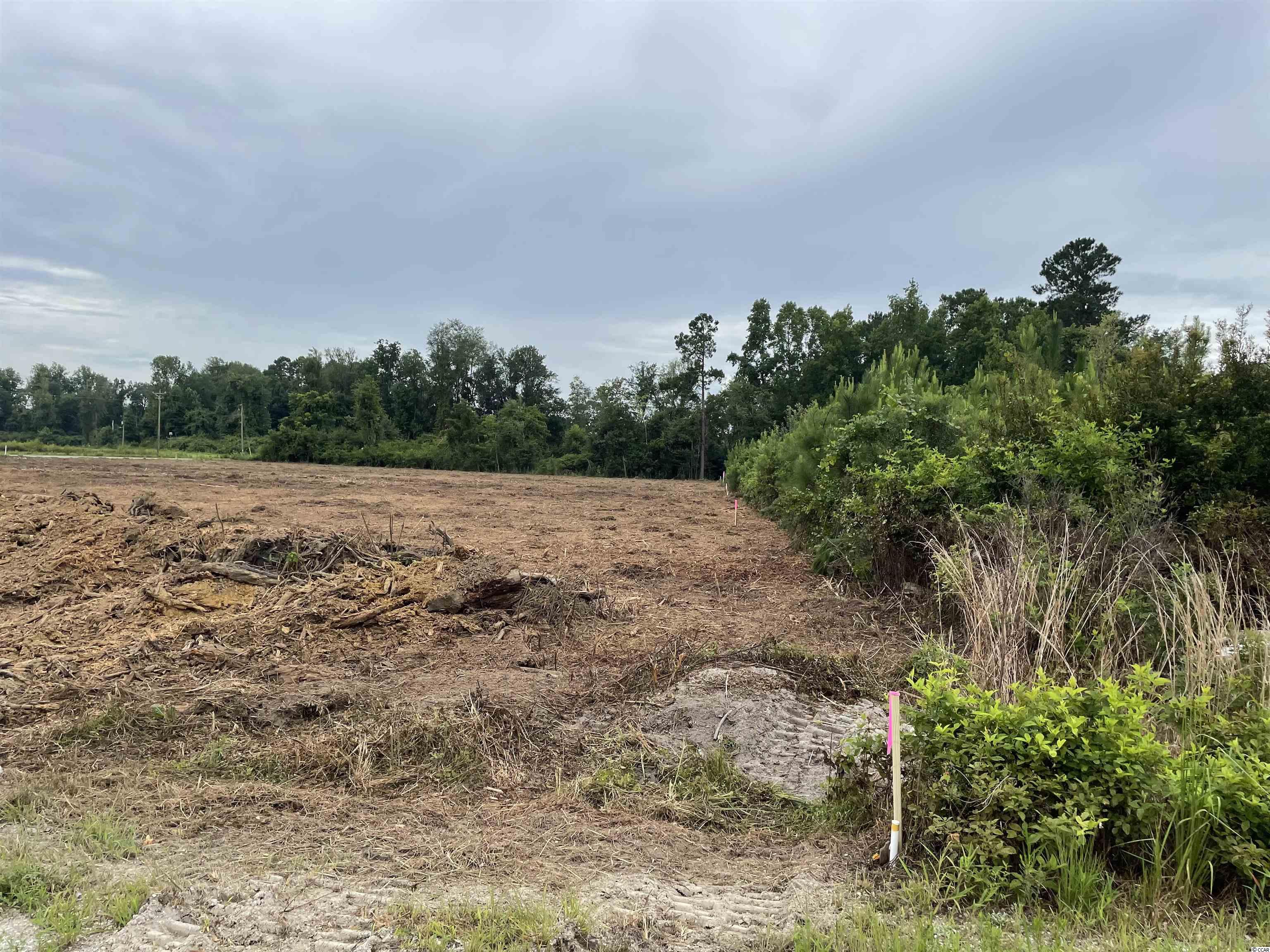 1708 Heritage Road Loris, SC 29569 - Photo 1 of 7 Gallery Image 1