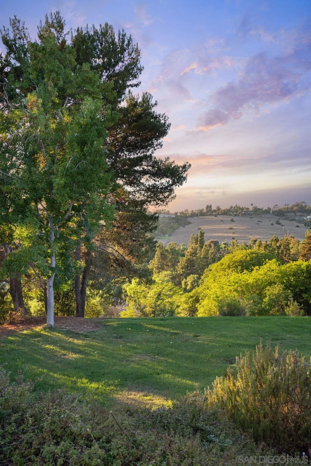 5618 Loma Verde Drive Rancho Santa Fe, CA 92067 - Photo 32 of 39 a view of an outdoor space and yard