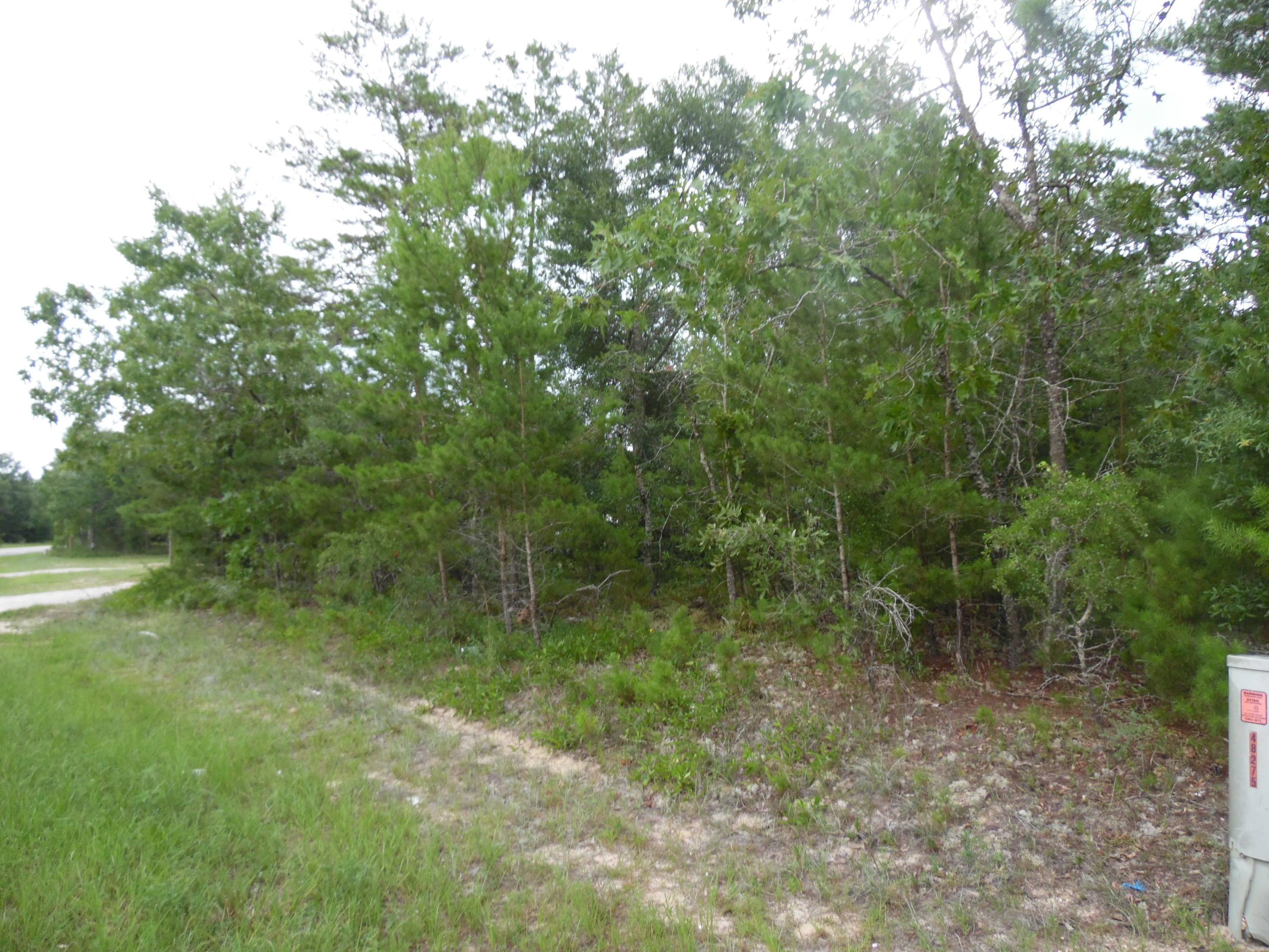 Lot 54 Oakridge Road DeFuniak Springs, FL 32433 - Photo 1 of 4 SAM_8238