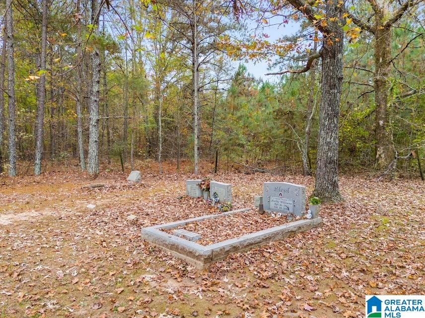 607 County Road 88 Fruithurst, AL 36262 - Photo 12 of 16