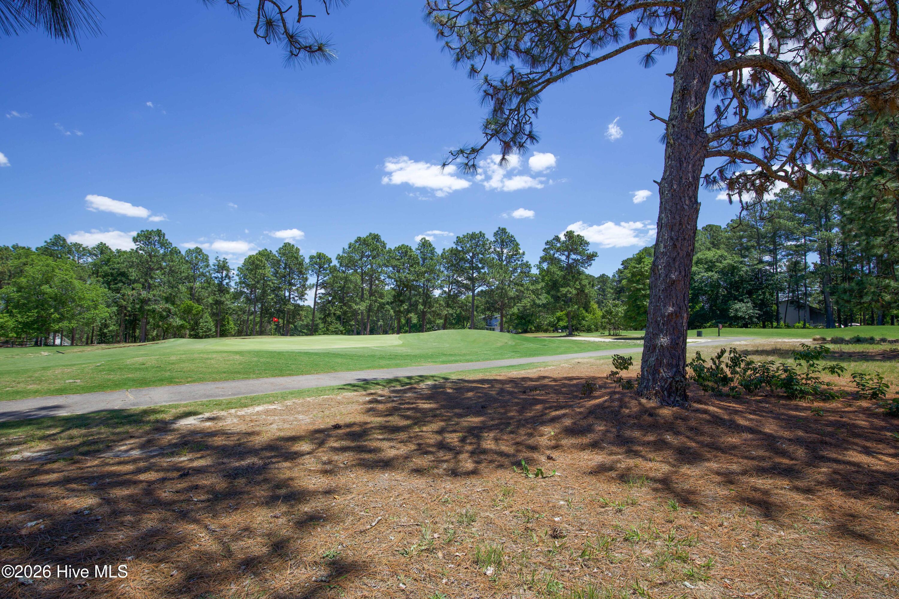 6 Pine Tree Terrace Jackson Springs, NC 27281 - Photo 33 of 35