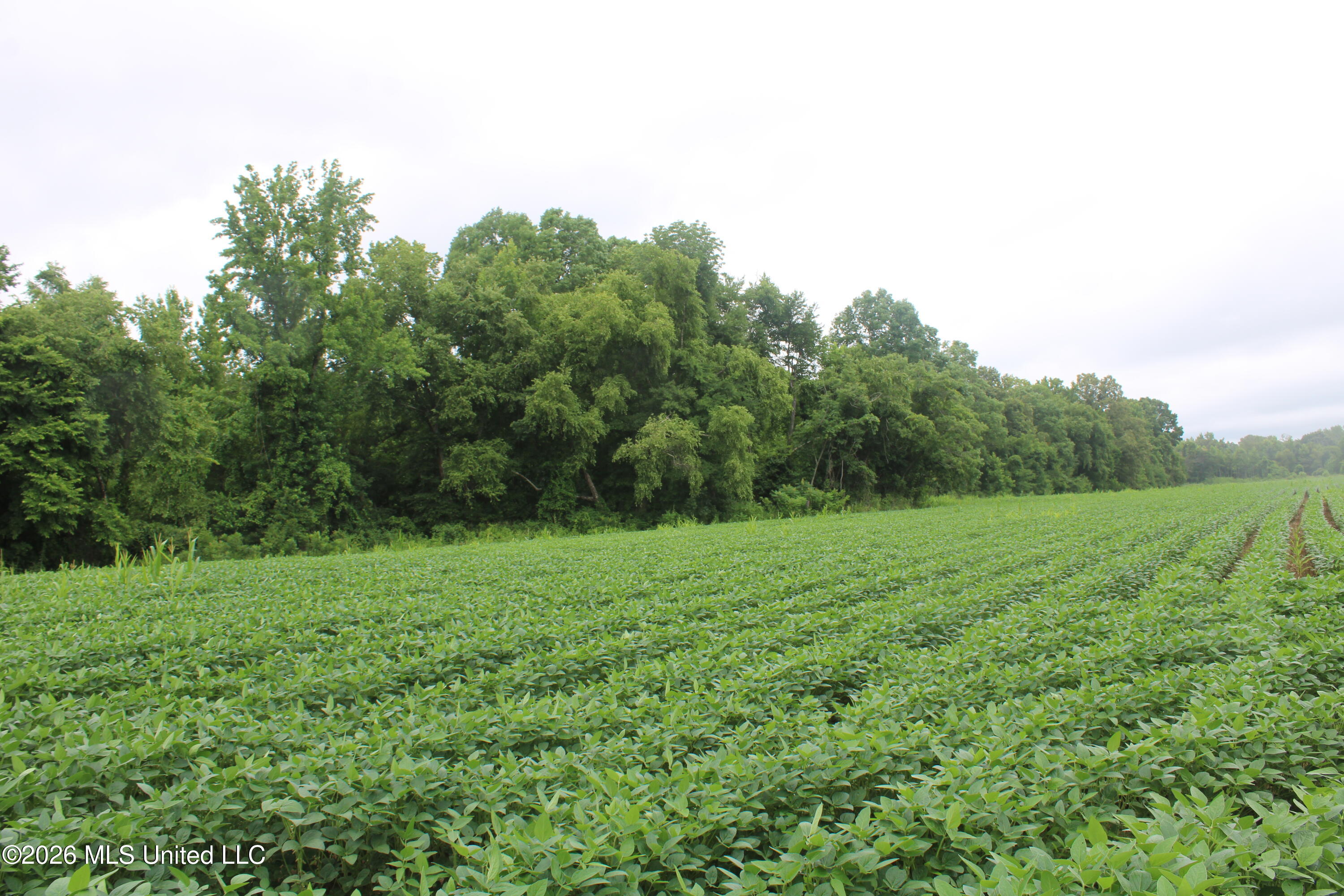 1500 Allen Corner Road Lamar, MS 38642 - Photo 16 of 17 IMG_7985
