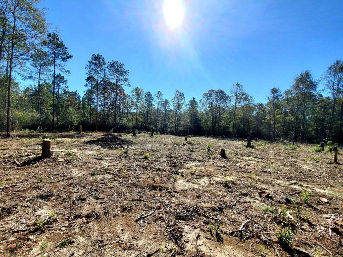 6221 County Line Road Baker, FL 32531 - Photo 1 of 16 a view of outdoor space with trees