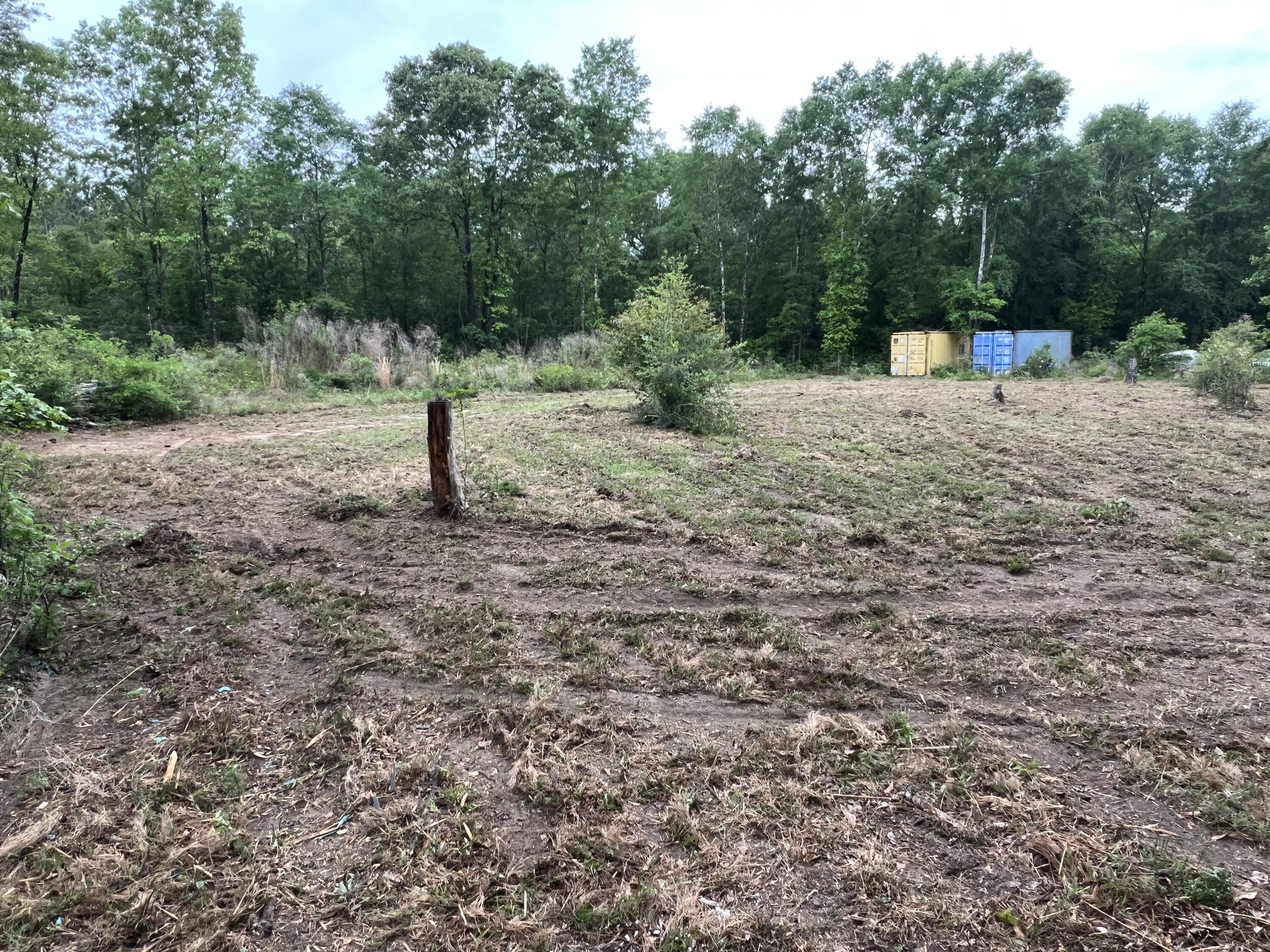 6221 County Line Road Baker, FL 32531 - Photo 16 of 16 a view of a forest with trees