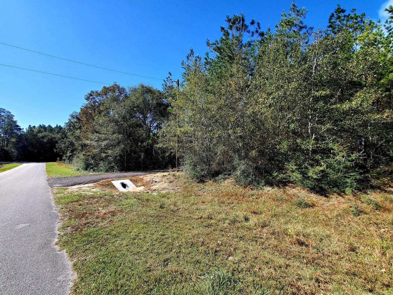 6221 County Line Road Baker, FL 32531 - Photo 3 of 16 a view of a tree with a yard