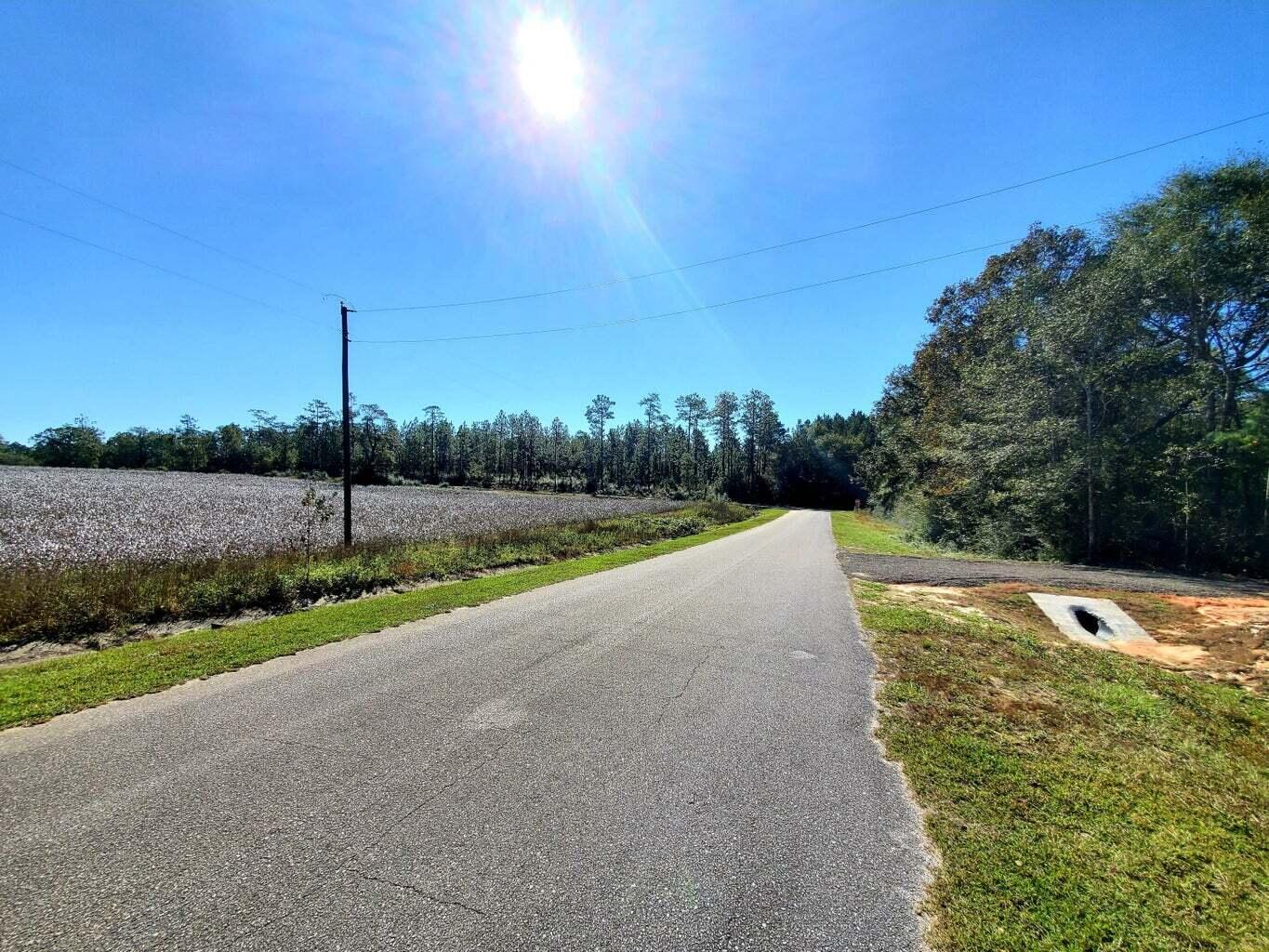 6221 County Line Road Baker, FL 32531 - Photo 4 of 16 a view of a green field with trees in the background