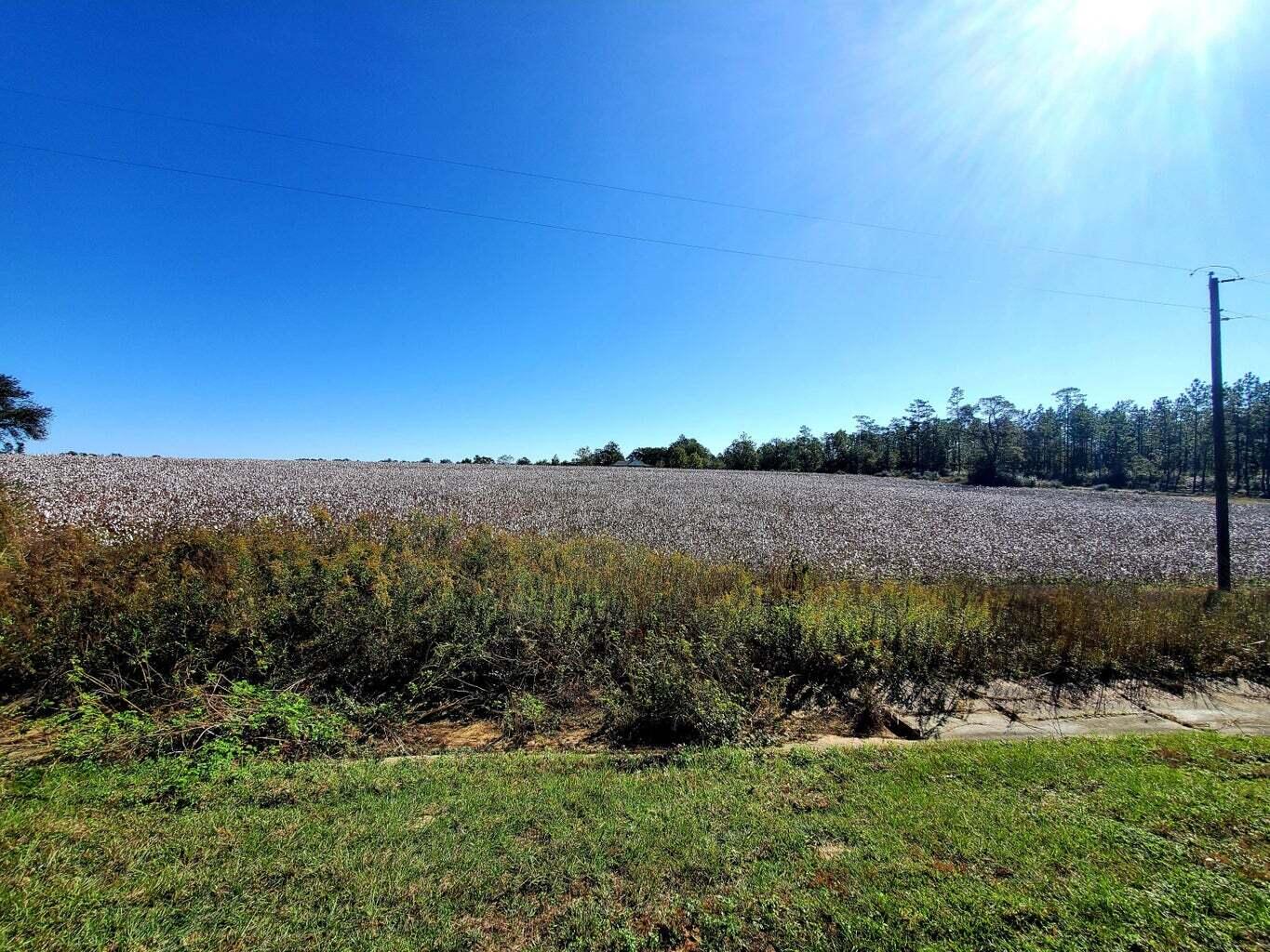 6221 County Line Road Baker, FL 32531 - Photo 5 of 16 a view of a green field with wooden fence