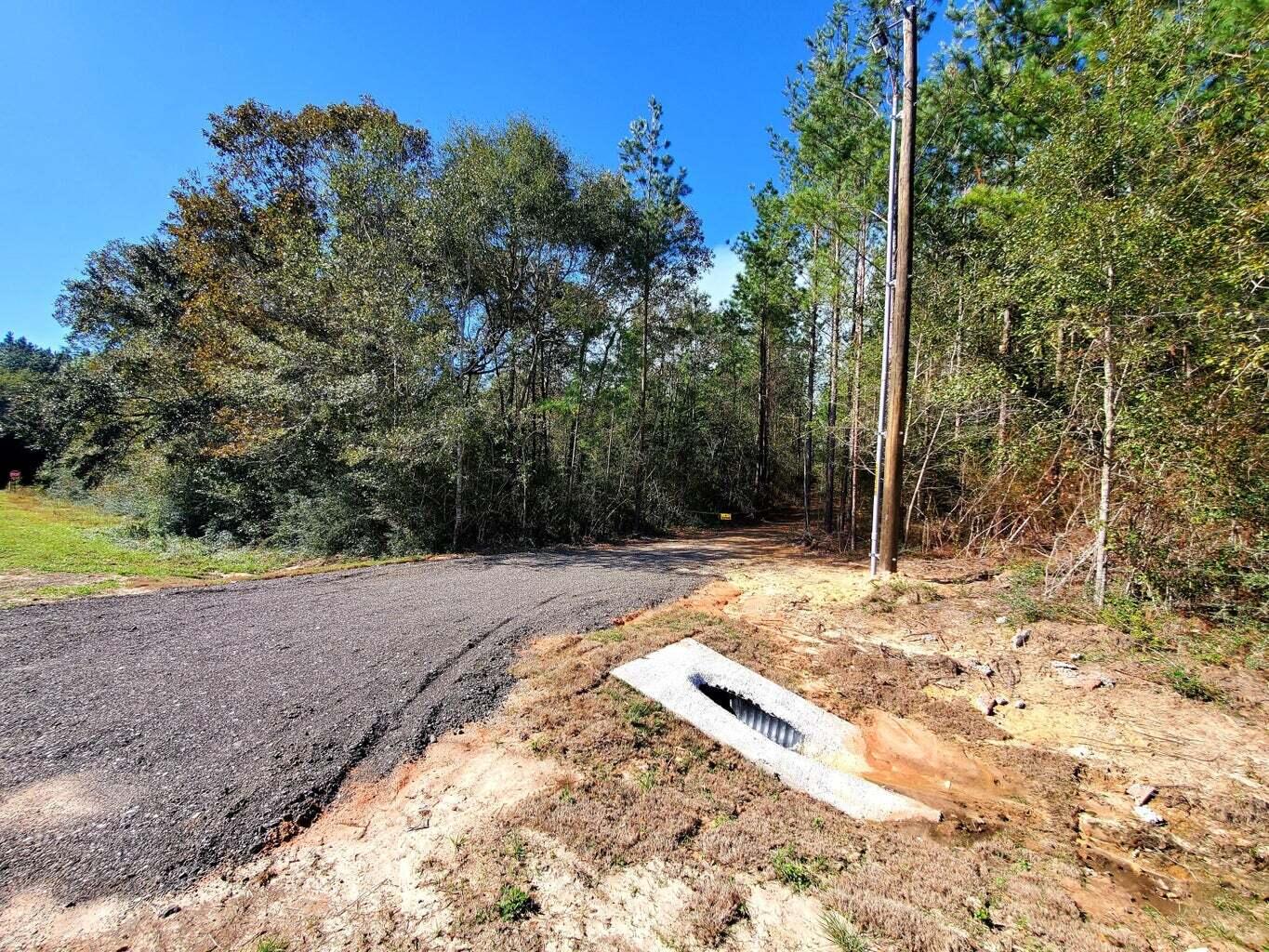 6221 County Line Road Baker, FL 32531 - Photo 6 of 16 a view of a yard with plants and trees