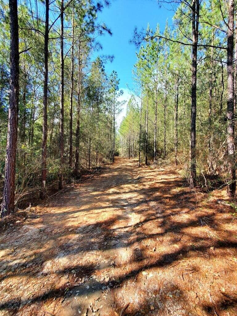 6221 County Line Road Baker, FL 32531 - Photo 8 of 16 a view of a street with a building and trees