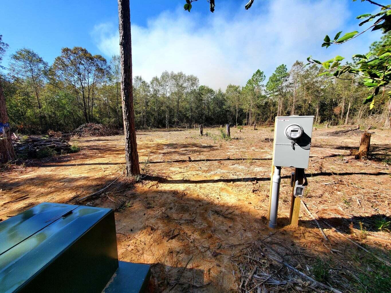 6221 County Line Road Baker, FL 32531 - Photo 9 of 16 a view of a yard with street view