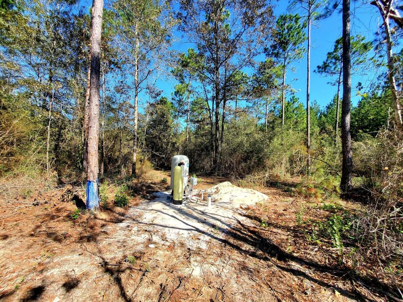 6221 County Line Road Baker, FL 32531 - Photo 10 of 16 a view of a out door space