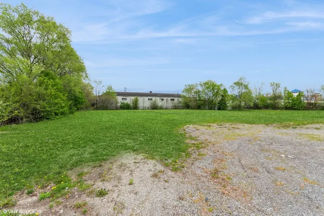 a view of a field with plants and trees