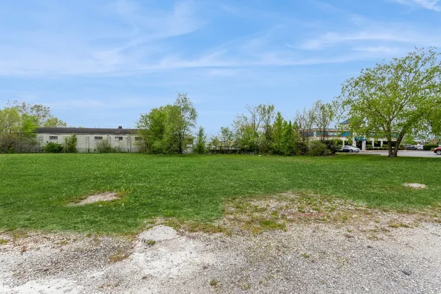 a view of a grassy field with trees