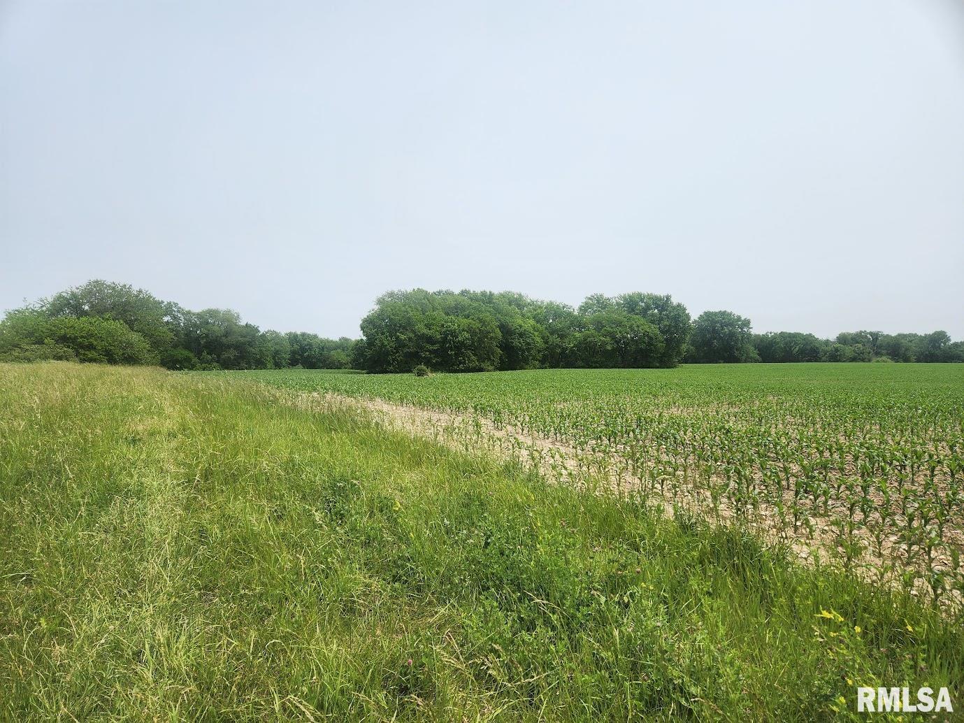 15624 North Mendenhall Road Princeville, IL 61559 - Photo 2 of 5 Gallery Image 2
