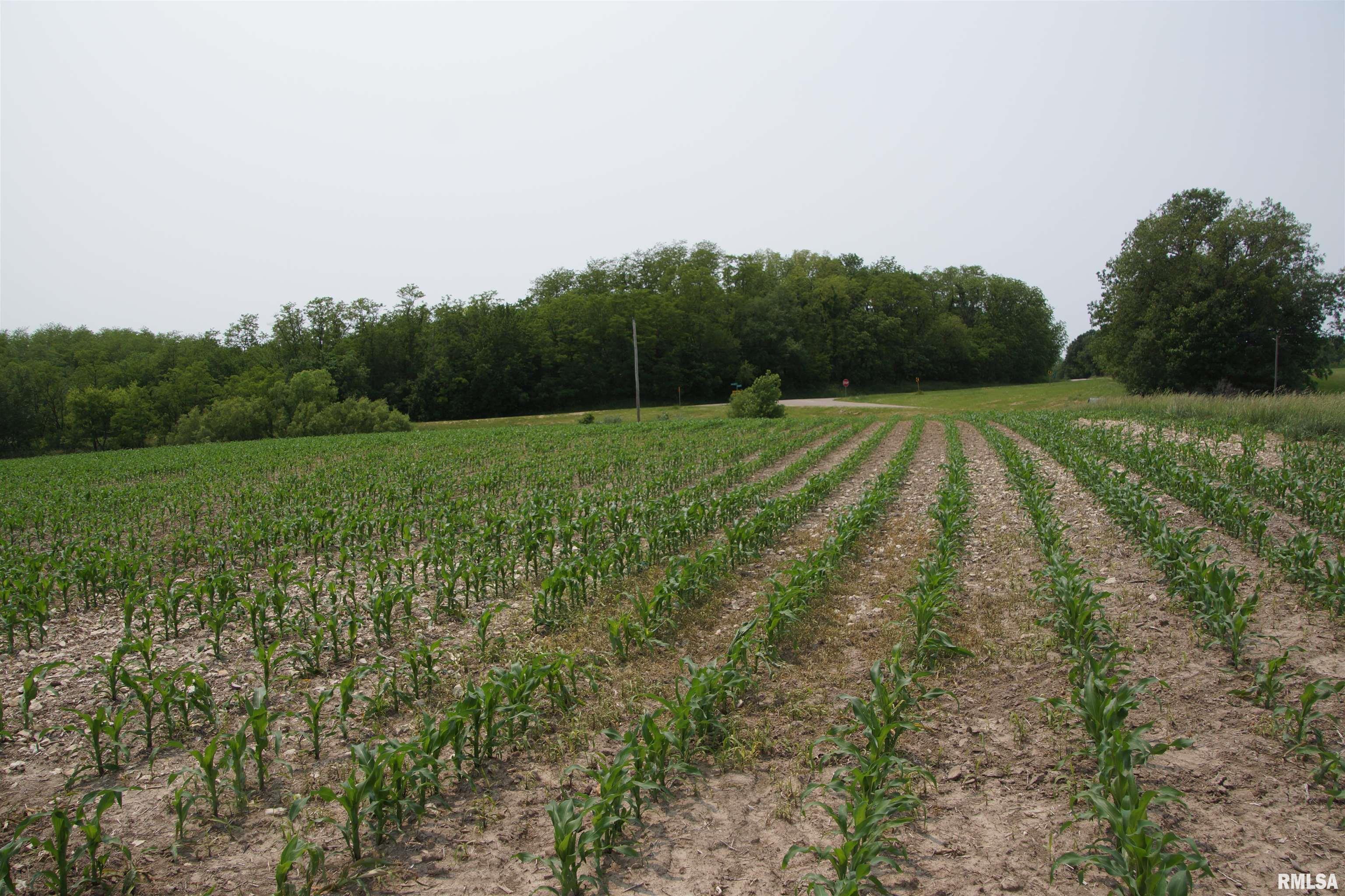 15624 North Mendenhall Road Princeville, IL 61559 - Photo 3 of 5 Gallery Image 3