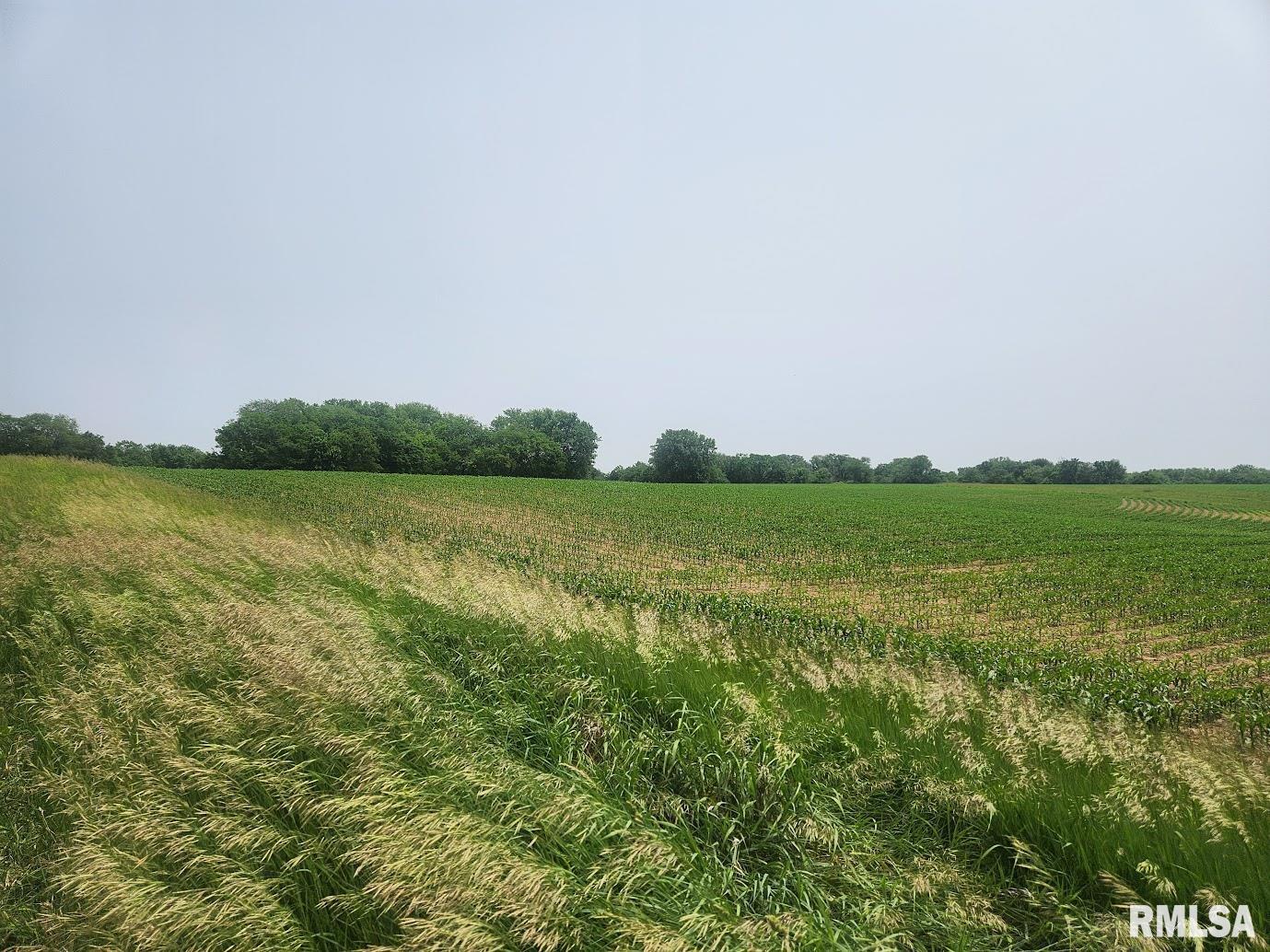 15624 North Mendenhall Road Princeville, IL 61559 - Photo 5 of 5 Gallery Image 5