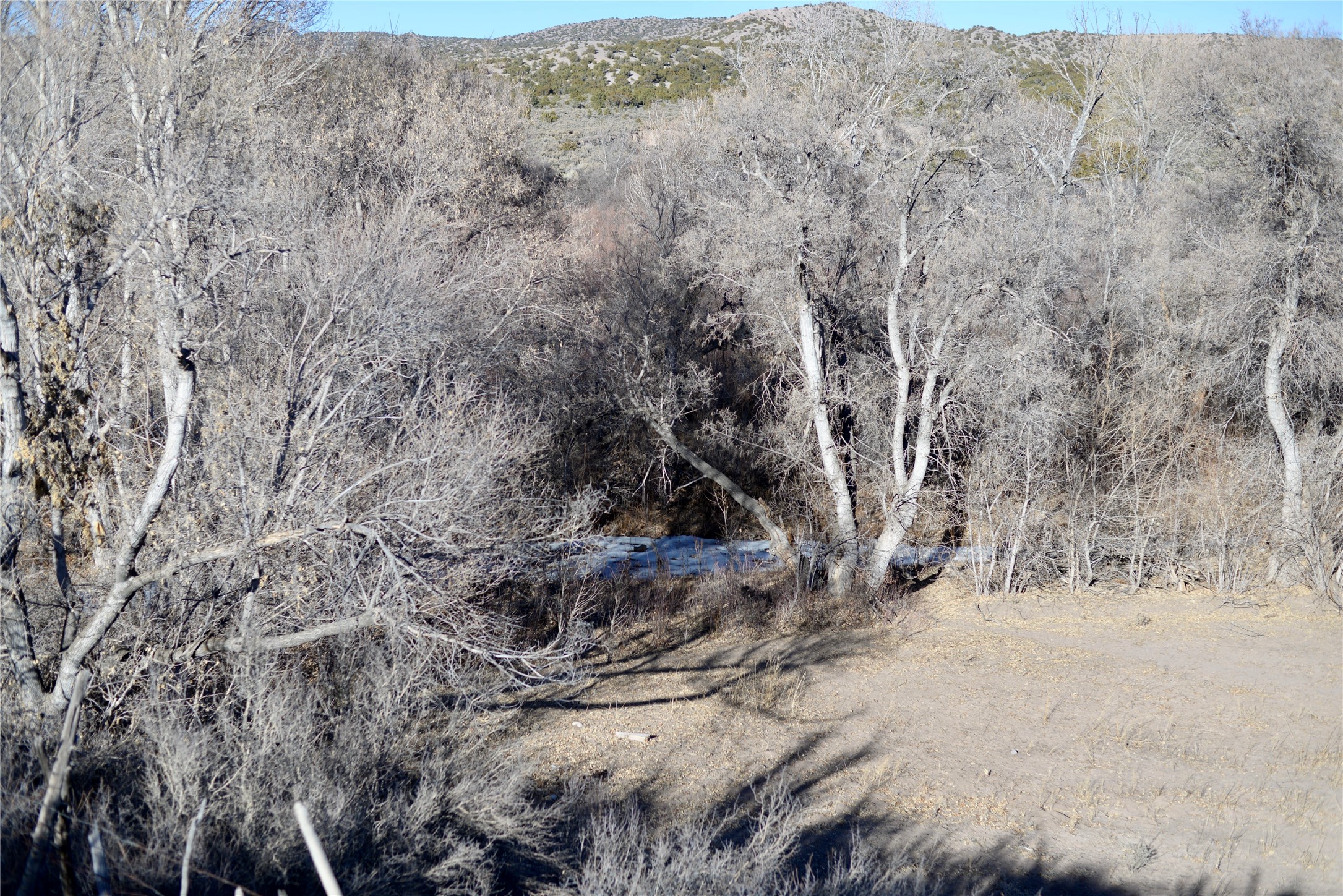 0 Nm-215 El Rito, NM 87530 - Photo 10 of 12 View to the East, from the Eastern side of the property.