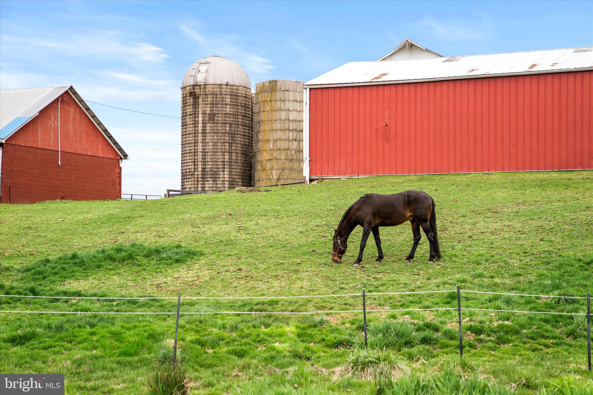 28 Rocktown Road Ringoes, NJ 08551 - Photo 38 of 53