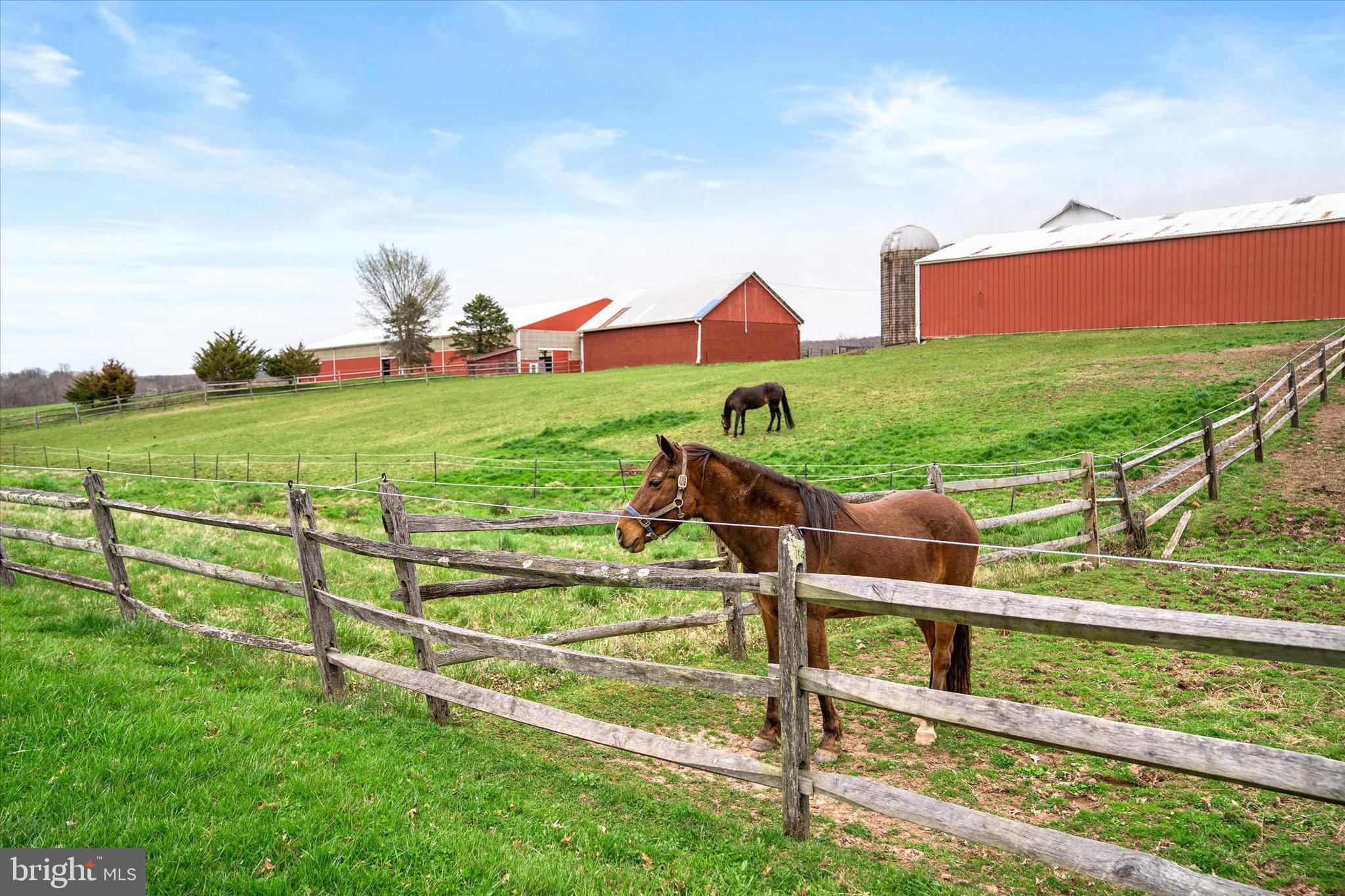 28 Rocktown Road Ringoes, NJ 08551 - Photo 39 of 53