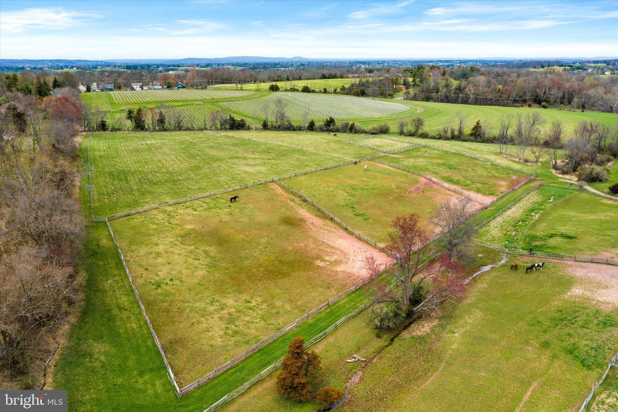 28 Rocktown Road Ringoes, NJ 08551 - Photo 48 of 53