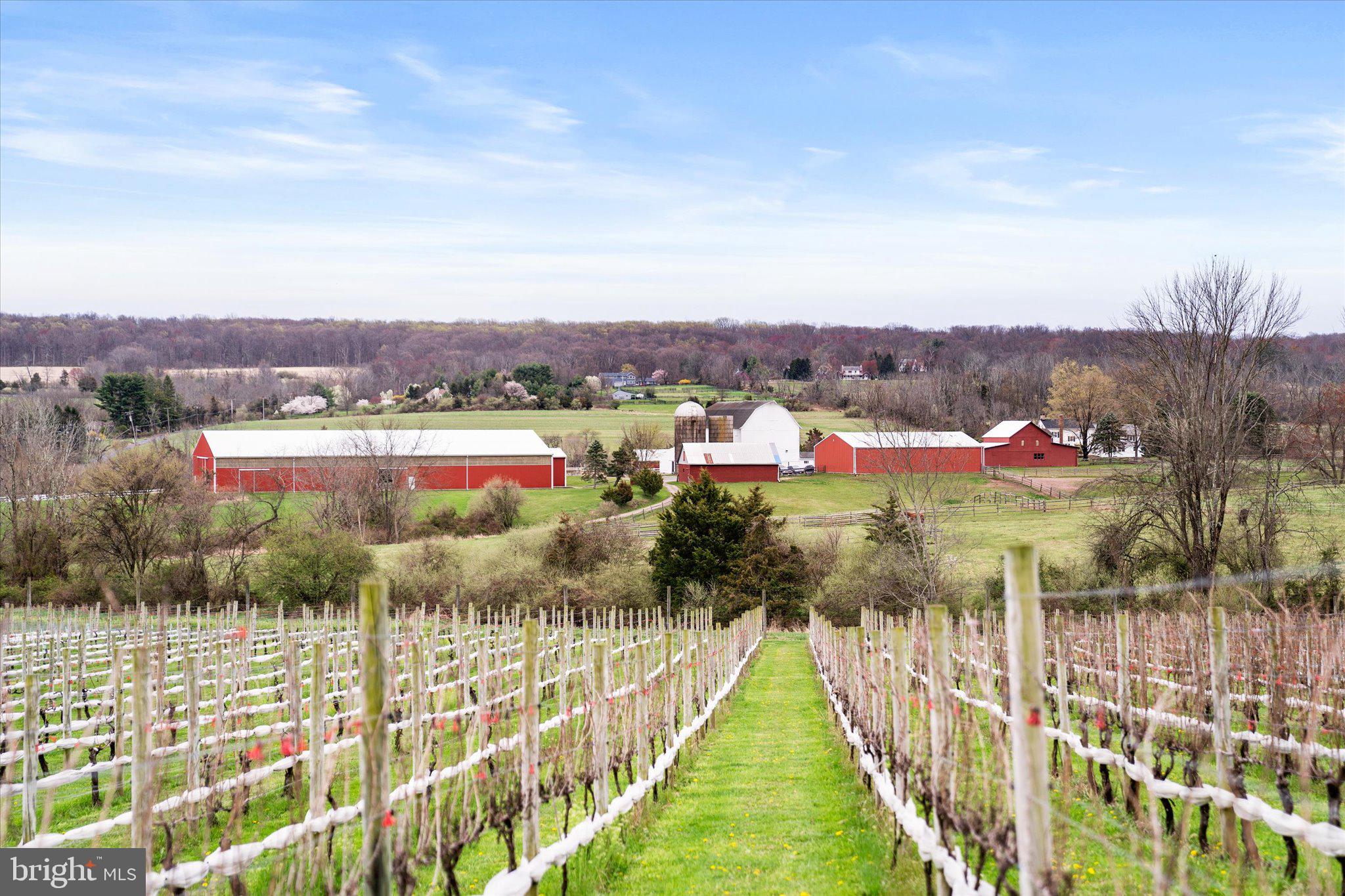 28 Rocktown Road Ringoes, NJ 08551 - Photo 50 of 53