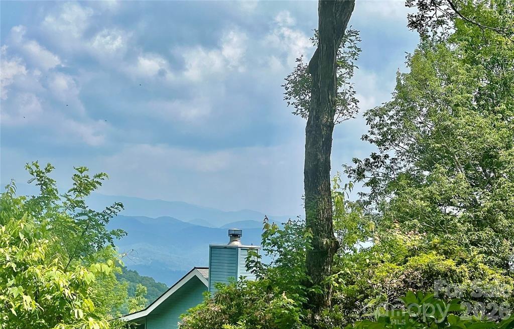 Lot 10 Joshua Road Rosman, NC 28772 - Photo 13 of 38