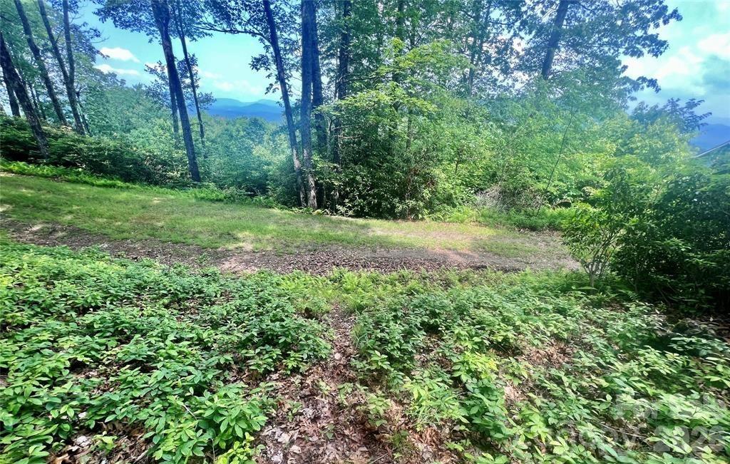 Lot 10 Joshua Road Rosman, NC 28772 - Photo 15 of 38 a view of a yard with a tree