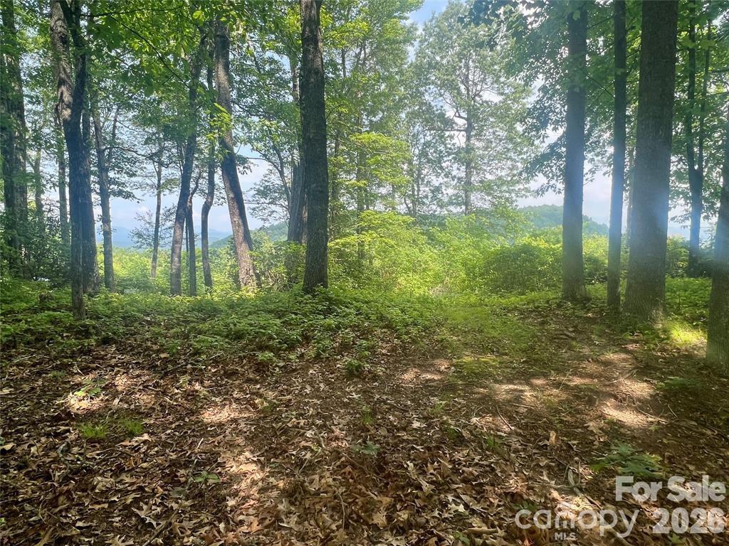 Lot 10 Joshua Road Rosman, NC 28772 - Photo 17 of 38 a large yard with lots of green space and trees in the back