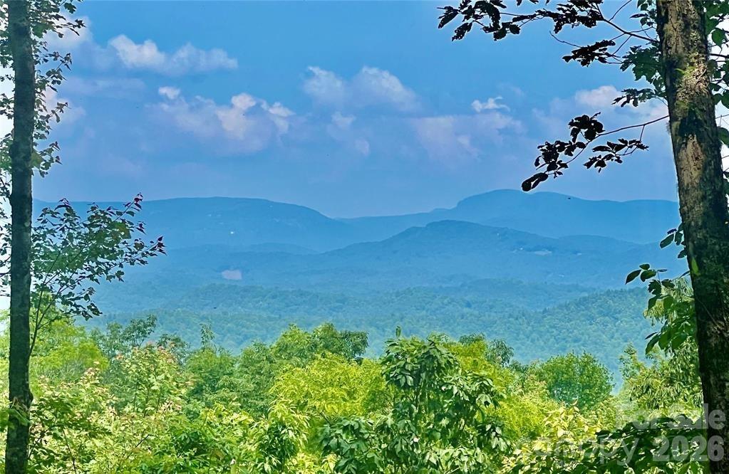 Lot 10 Joshua Road Rosman, NC 28772 - Photo 19 of 38 a view of a yard