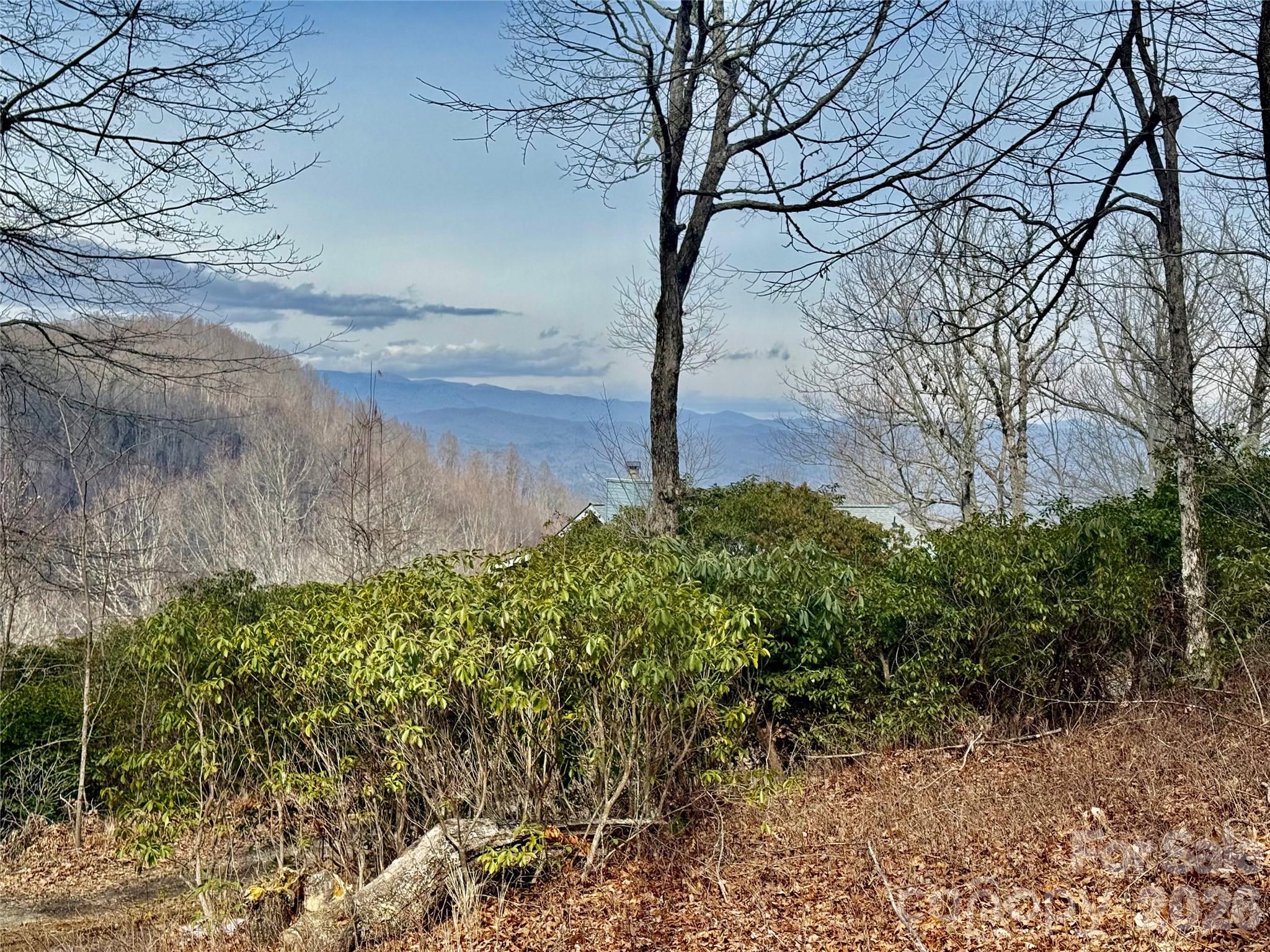 Lot 10 Joshua Road Rosman, NC 28772 - Photo 22 of 38 a view of a yard with a tree