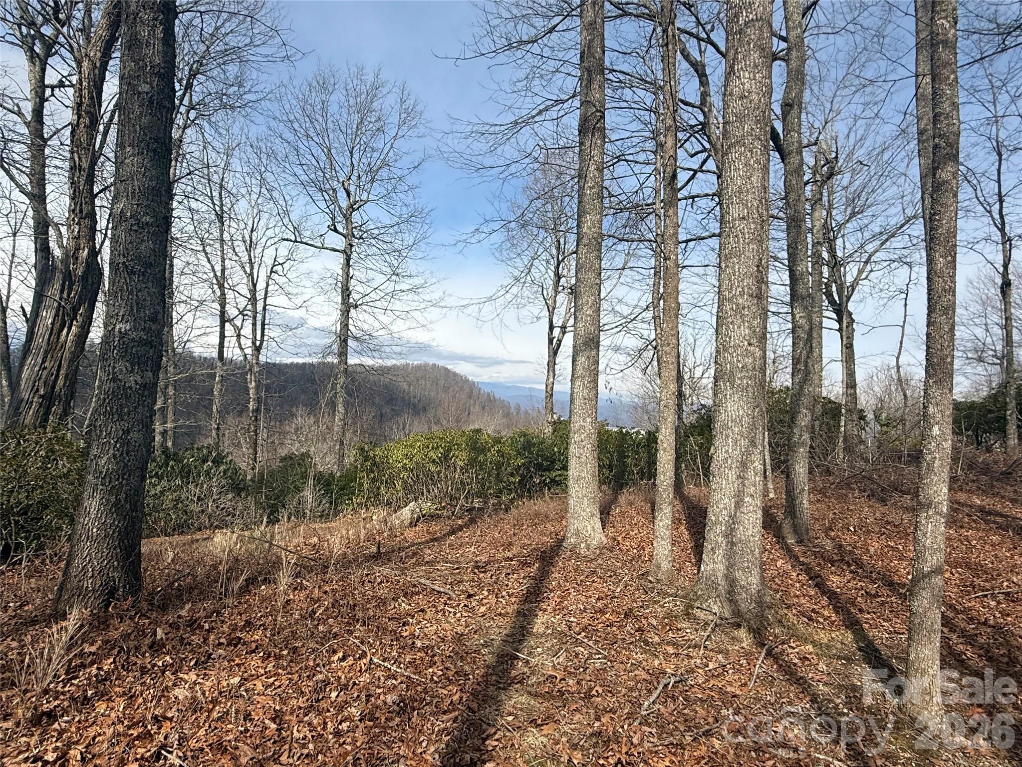 Lot 10 Joshua Road Rosman, NC 28772 - Photo 26 of 38 a view of a forest that has large trees