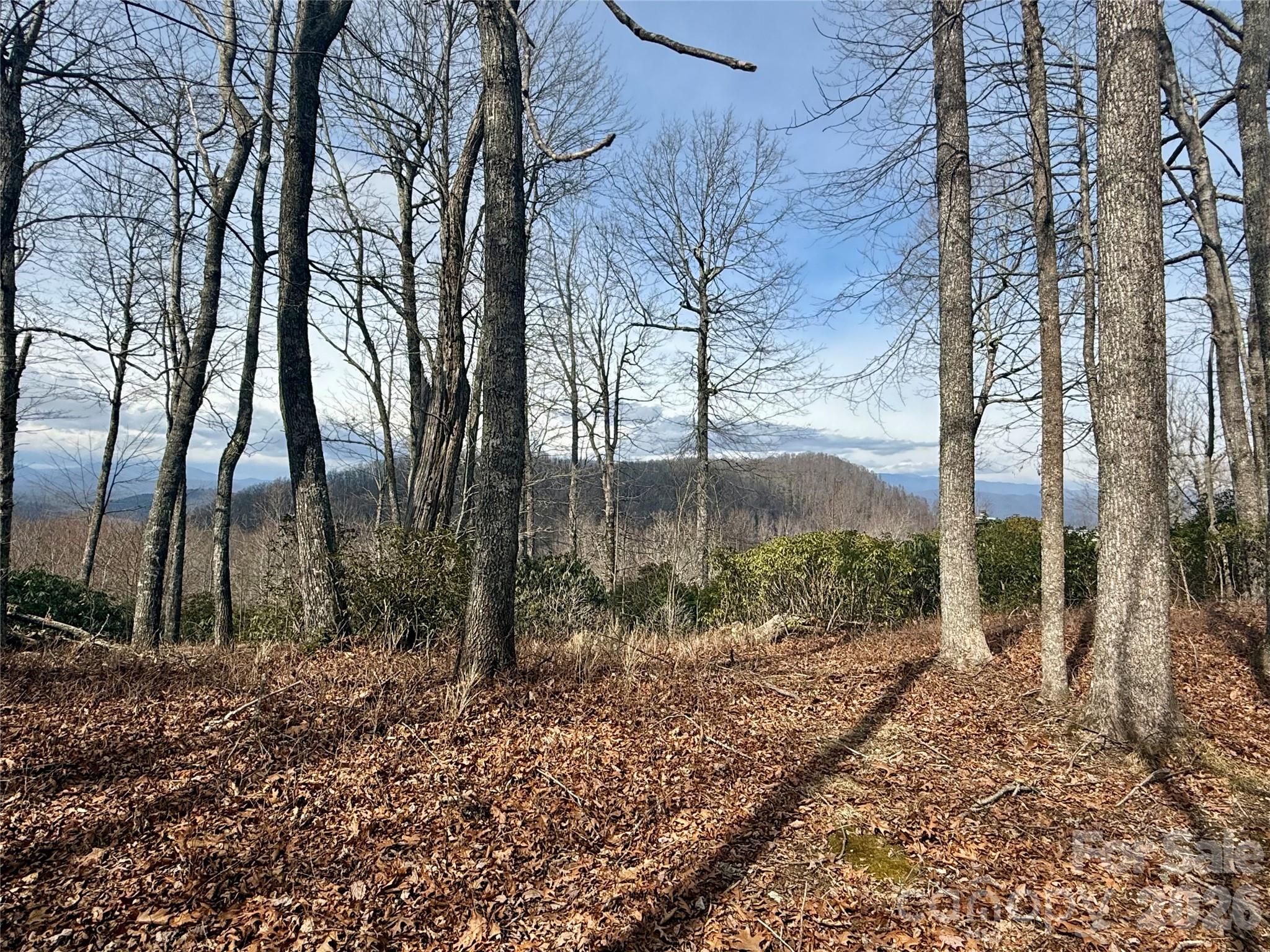 Lot 10 Joshua Road Rosman, NC 28772 - Photo 27 of 38 a view of a backyard