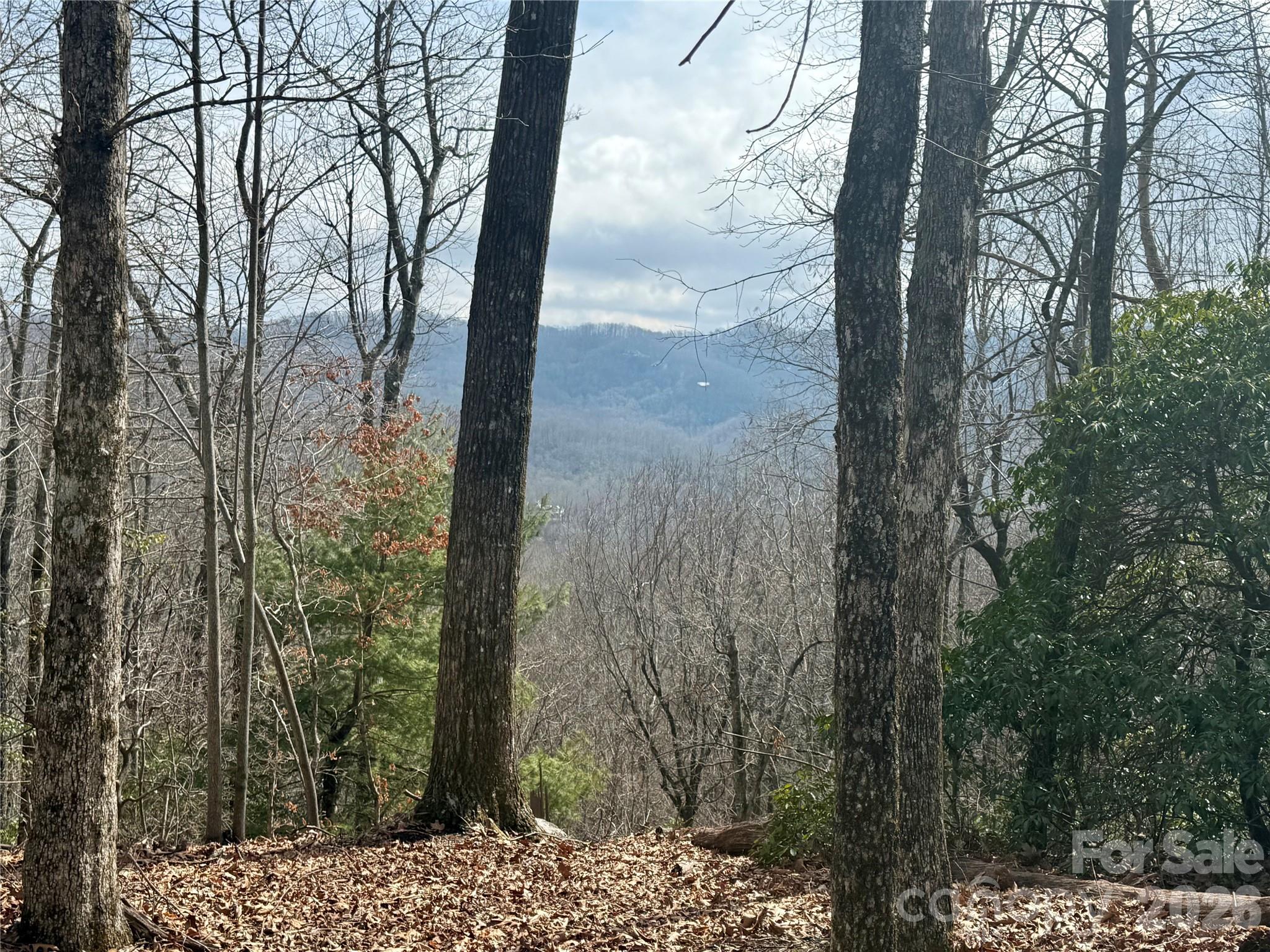 Lot 10 Joshua Road Rosman, NC 28772 - Photo 31 of 38 a view of a yard