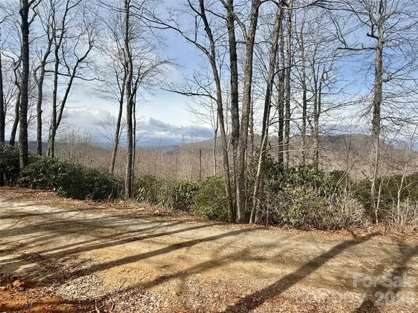 a view of a yard with trees