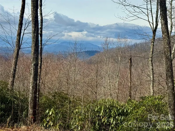 $30,000 | Lot 10 Joshua Road, Rosman, NC 28772