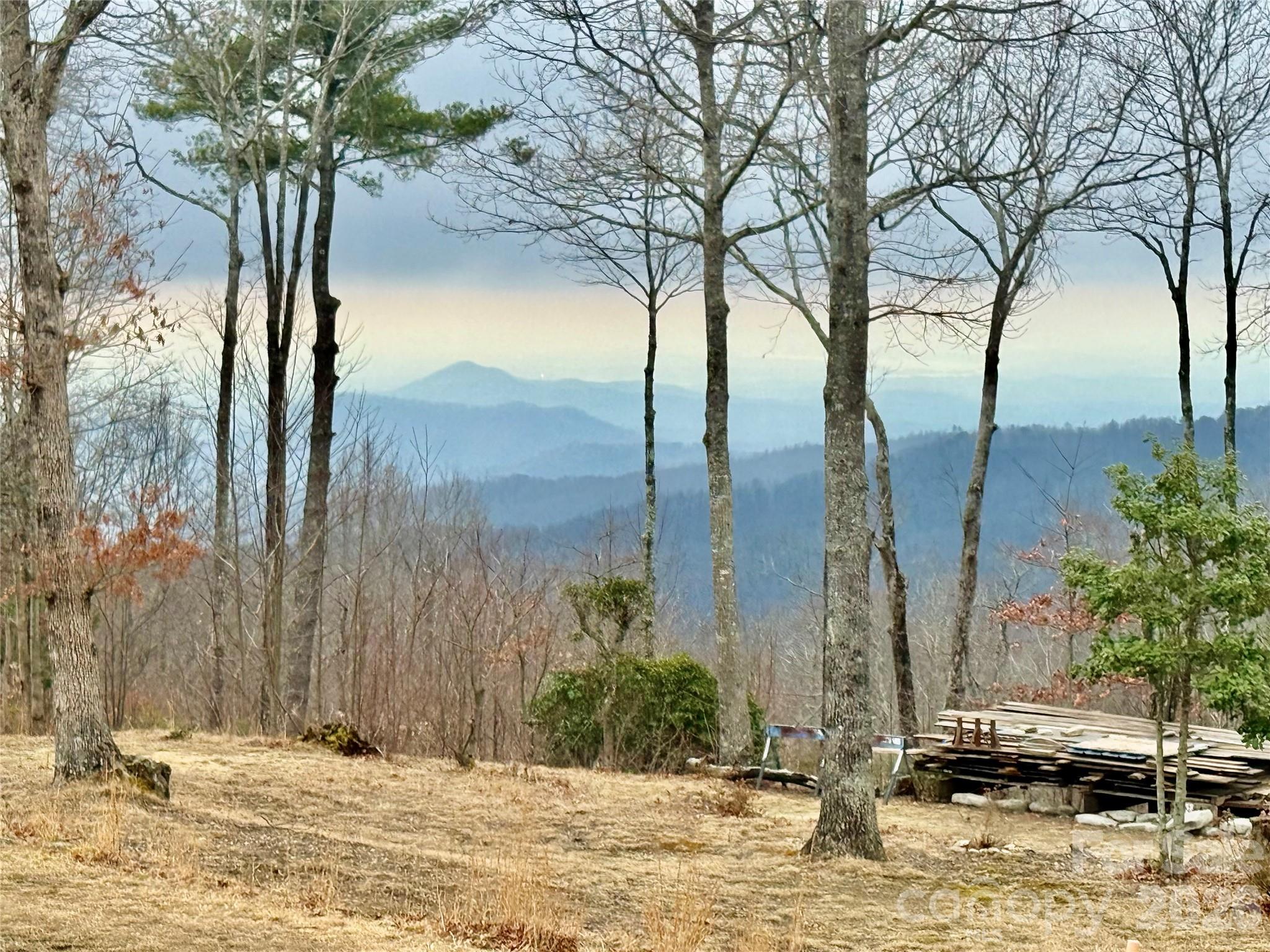 Lot 10 Joshua Road Rosman, NC 28772 - Photo 37 of 38 a view of a yard with trees