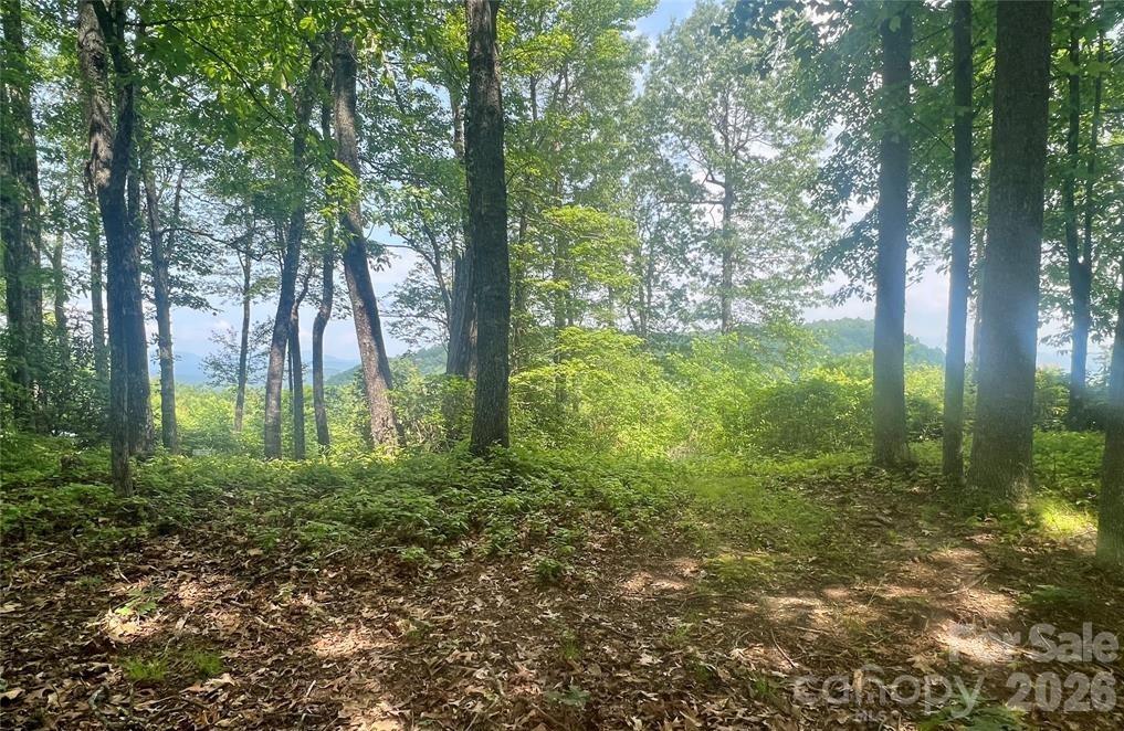 Lot 10 Joshua Road Rosman, NC 28772 - Photo 4 of 38 a big yard with lots of green space and trees