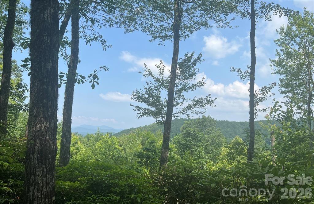 Lot 10 Joshua Road Rosman, NC 28772 - Photo 6 of 38 a view of a garden