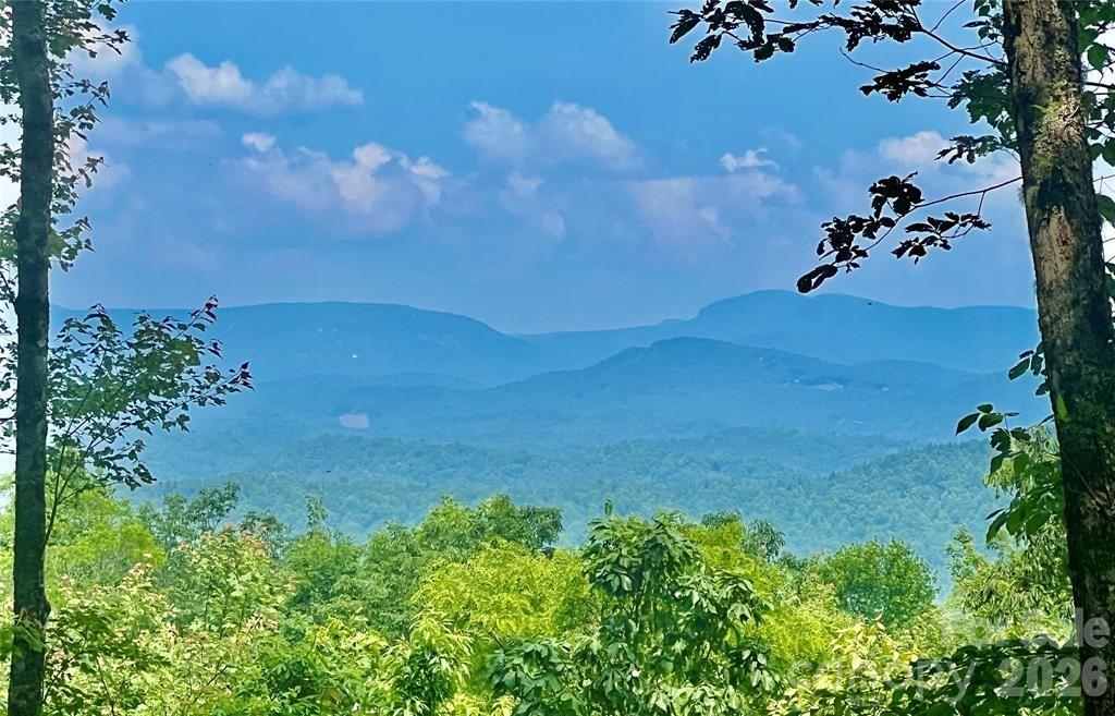 Lot 10 Joshua Road Rosman, NC 28772 - Photo 7 of 38 a view of a yard