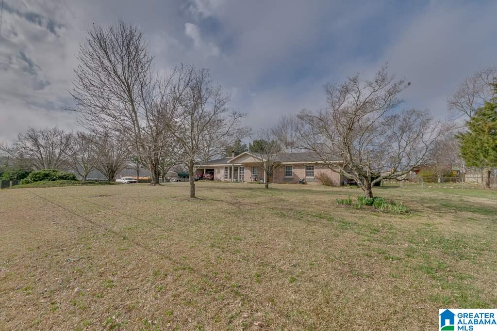 250 County Road 764 Clanton, AL 35046 - Photo 3 of 50