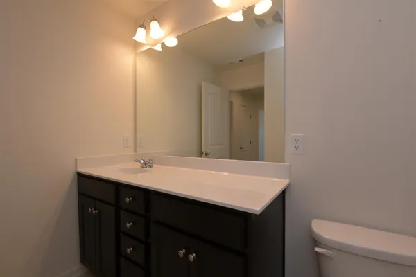 a bathroom with a sink vanity and a toilet