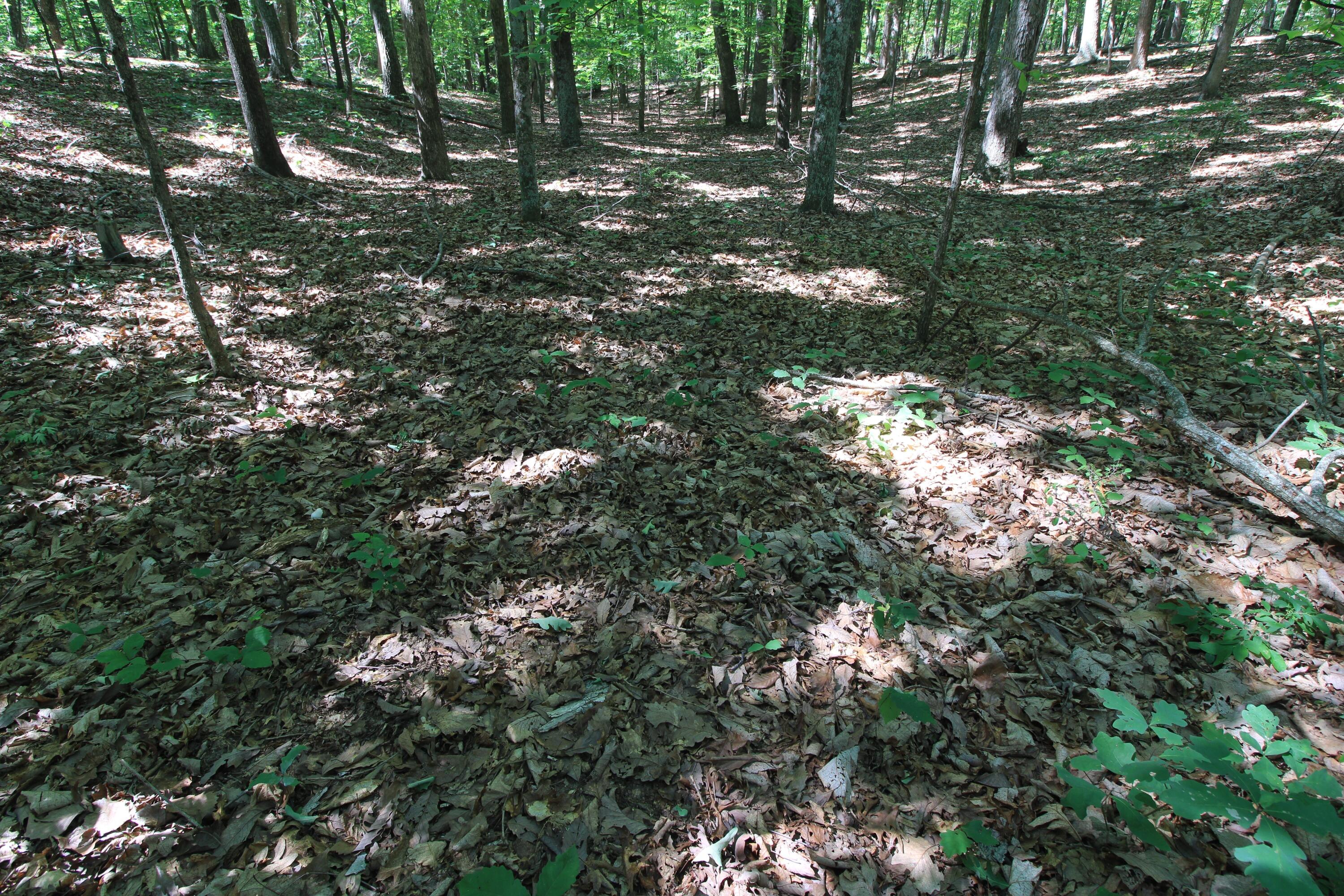 3685 Midway Road Gretna, VA 24557 - Photo 37 of 43 36
