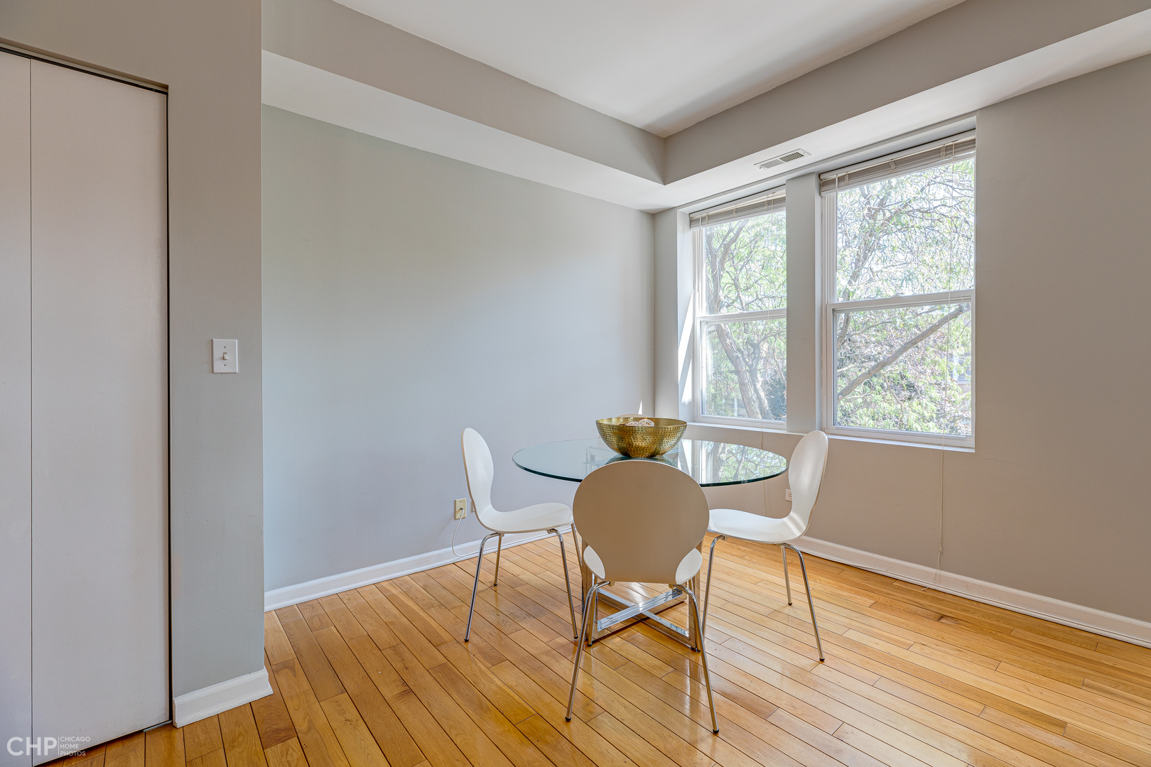 4900 North Springfield Avenue, Unit 3 Chicago, IL 60625 - Photo 7 of 20