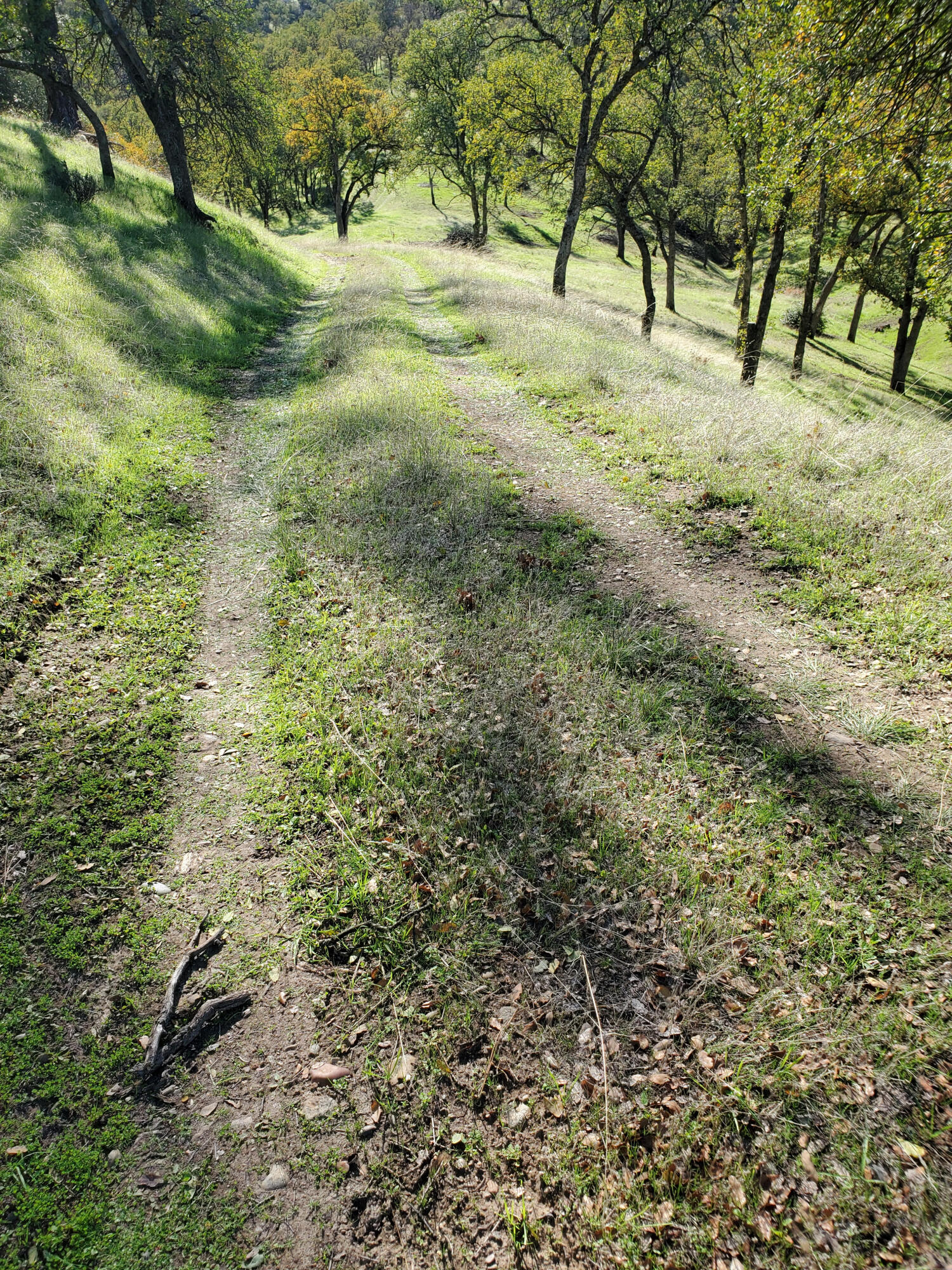 Penneleme Road Red Bluff, CA 96080 - Photo 4 of 8 road
